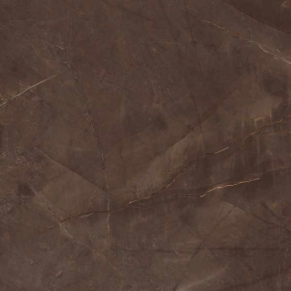 Pulpis Brown