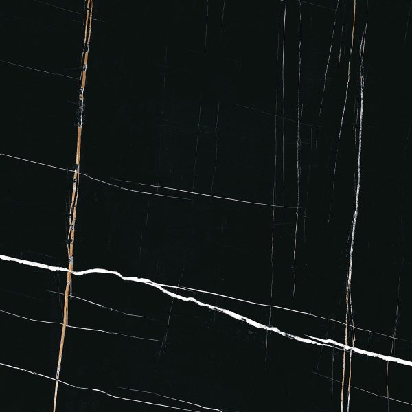 Sahara Noir