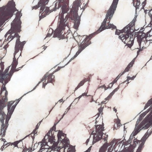 Calacatta Viola