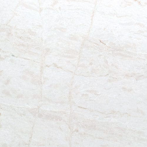 Chiara-Delicato-BQ6721-Closeup_W-2